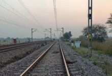 ट्रेन की चपेट में आने से महिला और 16 बकरा-बकरी की मौत