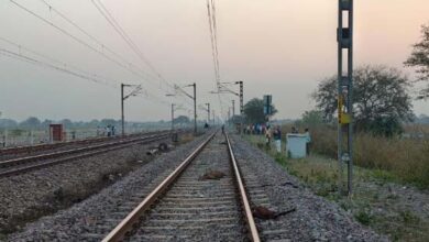 ट्रेन की चपेट में आने से महिला और 16 बकरा-बकरी की मौत