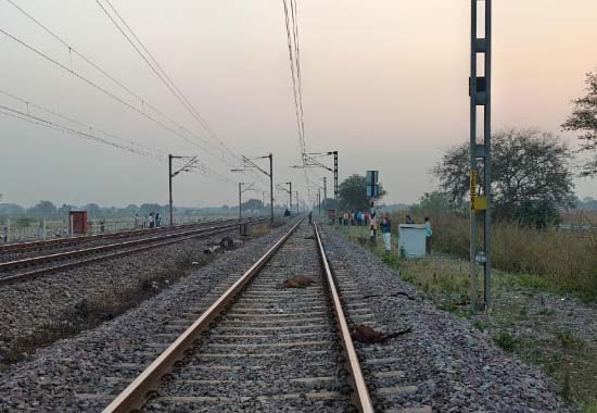ट्रेन की चपेट में आने से महिला और 16 बकरा-बकरी की मौत ट्रेन की चपेट में आने से महिला और 16 बकरा-बकरी की मौत