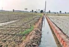 सुतियापाट और हाफ नदी की सिंचाई योजना के कार्यों के लिए 121 करोड़ से अधिक की राशि स्वीकृत