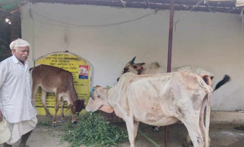 महात्मा गांधी नरेगा ने बदली बुलबुलराम की किस्मत, छोटे किसान से सफल ऑर्गेनिक बाड़ी उत्पादक की कहानी