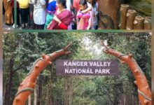 बारिश के बाद पर्यटकों के लिए खुल गई कोटमसर गुफा