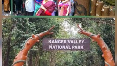 बारिश के बाद पर्यटकों के लिए खुल गई कोटमसर गुफा बारिश के बाद पर्यटकों के लिए खुल गई कोटमसर गुफा