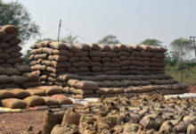 17 व्यापारियों से 13 लाख का 622 क्विंटल पुराना धान जब्त