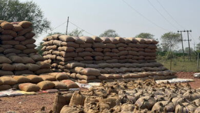 17 व्यापारियों से 13 लाख का 622 क्विंटल पुराना धान जब्त