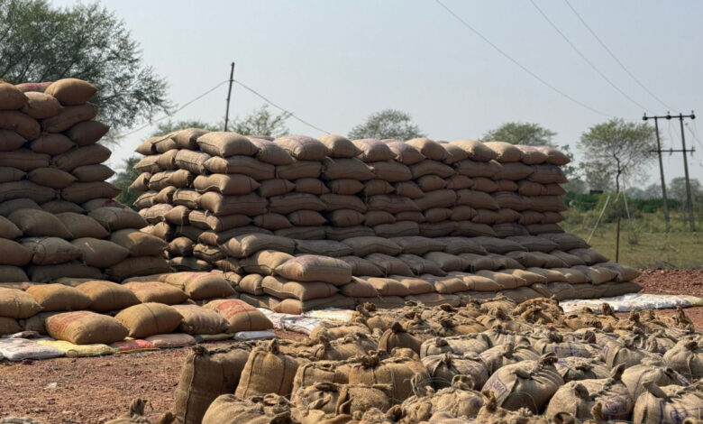 17 व्यापारियों से 13 लाख का 622 क्विंटल पुराना धान जब्त 17 व्यापारियों से 13 लाख का 622 क्विंटल पुराना धान जब्त