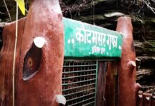 कुटुमसर गुफा फिर से खुली, पर्यटकों की लगी भीड़