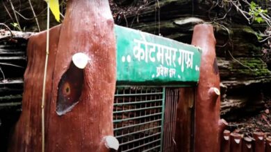 कुटुमसर गुफा फिर से खुली, पर्यटकों की लगी भीड़