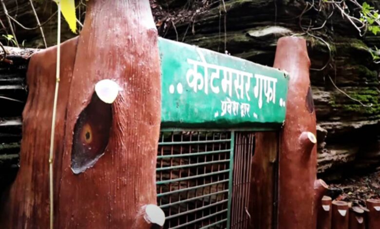 कुटुमसर गुफा फिर से खुली, पर्यटकों की लगी भीड़ कुटुमसर गुफा फिर से खुली, पर्यटकों की लगी भीड़