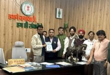 छत्तीसगढ़ में रियल एस्टेट शुल्क सुधार पर चर्चा