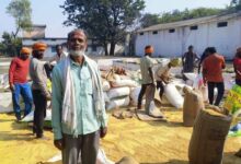 3100 प्रति क्विंटल के समर्थन मूल्य पर धान खरीदी ने लौटाई किसानों की मुस्कान