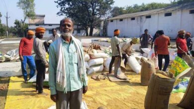 3100 प्रति क्विंटल के समर्थन मूल्य पर धान खरीदी ने लौटाई किसानों की मुस्कान