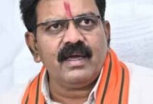 छग में नक्सलवाद 80 प्रतिशत खत्म, बाकी भी जल्द मिटेगा – गृहमंत्री शर्मा