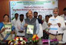 फसलों में बीमारियों के नियंत्रण के लिए जैव नियंत्रकों का उपयोग करें : डॉ. चंदेल