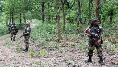 बीजापुर में आज भी जारी है मुठभेड़, लंबा चल सकता है अभियान बीजापुर में आज भी जारी है मुठभेड़, लंबा चल सकता है अभियान