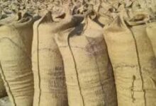 धान खरीदी के दौरान अवकाश पर पूर्ण रोक, सरकार का सख्त आदेश बीजापुर में भी लागू