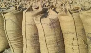 धान खरीदी के दौरान अवकाश पर पूर्ण रोक, सरकार का सख्त आदेश बीजापुर में भी लागू धान खरीदी के दौरान अवकाश पर पूर्ण रोक, सरकार का सख्त आदेश बीजापुर में भी लागू