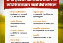 हरियाली से आर्थिक रूप से सशक्त हुए मोहला जिले के ग्रामीण