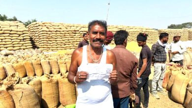 किसानों की मेहनत को मिल रहा सम्मान, महासमुंद में 86 हजार 307 टन धान की खरीदी