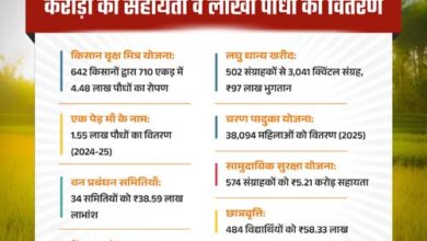 हरियाली से आर्थिक रूप से सशक्त हुए मोहला जिले के ग्रामीण हरियाली से आर्थिक रूप से सशक्त हुए मोहला जिले के ग्रामीण