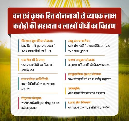 हरियाली से आर्थिक रूप से सशक्त हुए मोहला जिले के ग्रामीण