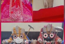 श्रीजगन्नाथ मंदिर में श्रीमहालक्ष्मी के वाहन सफेद उल्लू के हुए दर्शन