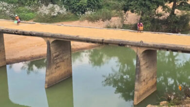 ब्रिटिश कालीन जुगानी पुल धान-मक्के की फसल सुखाने नई भूमिका निभा रहा ब्रिटिश कालीन जुगानी पुल धान-मक्के की फसल सुखाने नई भूमिका निभा रहा