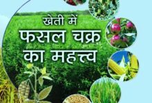 फसल चक्र परिवर्तन से किसानों की आमदनी में होगा इजाफा