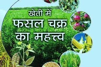 फसल चक्र परिवर्तन से किसानों की आमदनी में होगा इजाफा फसल चक्र परिवर्तन से किसानों की आमदनी में होगा इजाफा