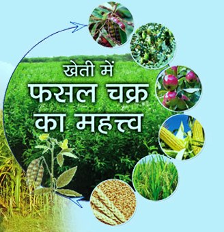 फसल चक्र परिवर्तन से किसानों की आमदनी में होगा इजाफा