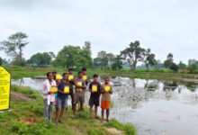 आधा दर्जन से अधिक किसानों के दस एकड़ खेतों में सिंचाई की मिली सुविधा