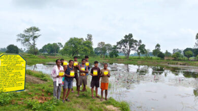 आधा दर्जन से अधिक किसानों के दस एकड़ खेतों में सिंचाई की मिली सुविधा