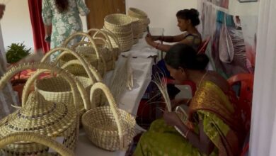 संभाग स्तरीय सरस मेला में दिखेगी महिला सशक्तिकरण की झलक संभाग स्तरीय सरस मेला में दिखेगी महिला सशक्तिकरण की झलक