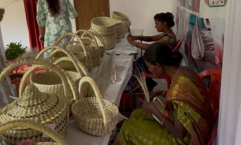 संभाग स्तरीय सरस मेला में दिखेगी महिला सशक्तिकरण की झलक संभाग स्तरीय सरस मेला में दिखेगी महिला सशक्तिकरण की झलक