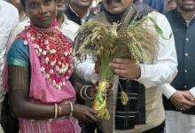 उपमुख्यमंत्री शर्मा ने भारत की मिलेट्स क्वीन लहरी बाई बैगा को किया सम्मानित