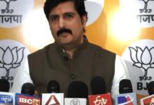 निवेश के लिए छत्तीसगढ़ बना आकर्षण का केंद्र : चिमनानी