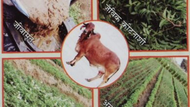 कृषि विश्वविद्यालय में प्राकृतिक खेती पर राष्ट्रीय संगोष्ठी कल कृषि विश्वविद्यालय में प्राकृतिक खेती पर राष्ट्रीय संगोष्ठी कल