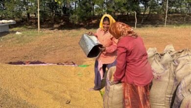 खरीफ उपार्जन शुरू होते ही धमतरी में लौटी रौनक