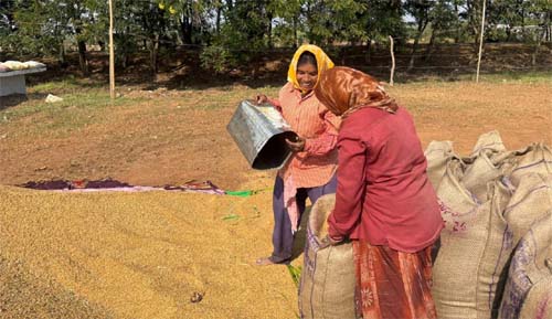 खरीफ उपार्जन शुरू होते ही धमतरी में लौटी रौनक