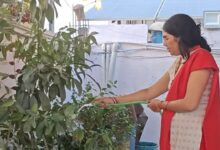 प्रकृति प्रेमी रितु मेश्राम ने सोलर पैनल लगवाकर पर्यावरण संरक्षण में निभाई सहभागिता