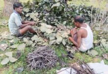 डीएफओ मनीष की अनूठी पहल – 37 गाँवों के 400 कृषकों ने शुरू किया लाख पालन