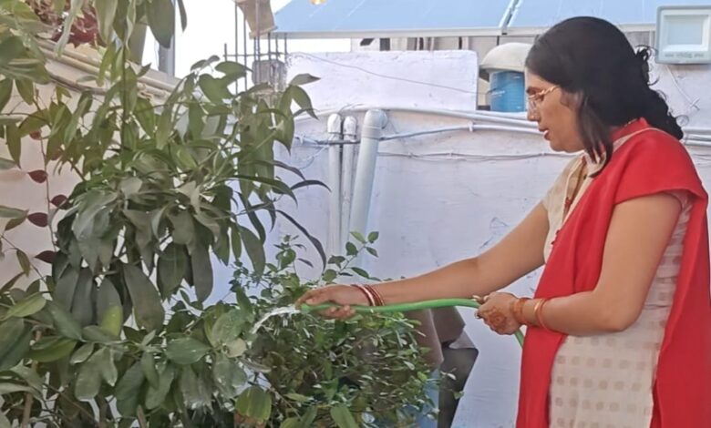 प्रकृति प्रेमी रितु मेश्राम ने सोलर पैनल लगवाकर पर्यावरण संरक्षण में निभाई सहभागिता