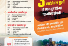 सेतु संभाग अम्बिकापुर द्वारा तीन उच्चस्तरीय पुलों का निर्माण कार्य जारी