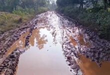 कोंडागांव-खुटडोबरा मार्ग में दलदल से स्कूली बच्चों व ग्रामीणों की बढी परेशानी
