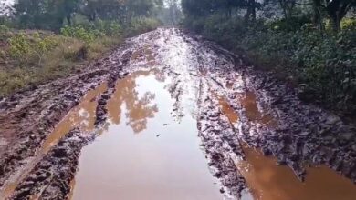 कोंडागांव-खुटडोबरा मार्ग में दलदल से स्कूली बच्चों व ग्रामीणों की बढी परेशानी