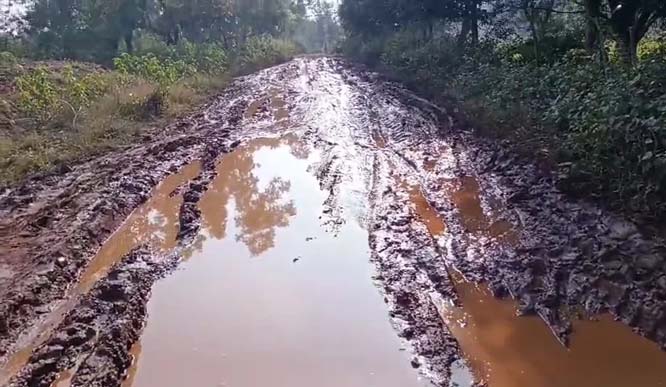 कोंडागांव-खुटडोबरा मार्ग में दलदल से स्कूली बच्चों व ग्रामीणों की बढी परेशानी