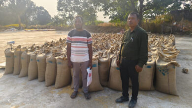 किसानों के पसीने का मिल रहा है उचित मूल्य, जशपुर के 46 केंद्रों में सुचारू रूप से जारी धान खरीदी