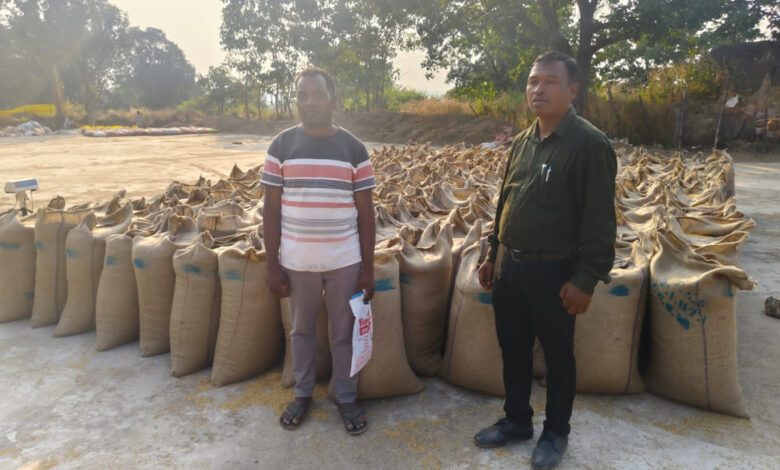 किसानों के पसीने का मिल रहा है उचित मूल्य, जशपुर के 46 केंद्रों में सुचारू रूप से जारी धान खरीदी