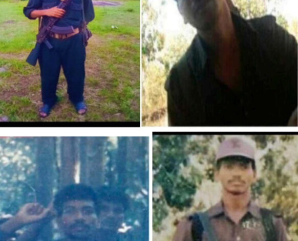 हिड़मा के ही मारे जाने के बाद केंद्र कभी भी बस्तर को कर सकती है नक्सल मुक्त घोषित