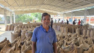 धान खरीदी तिहार सुचारू और पारदर्शी, भिट्ठी कला के किसानों ने जताया विश्वास धान खरीदी तिहार सुचारू और पारदर्शी, भिट्ठी कला के किसानों ने जताया विश्वास